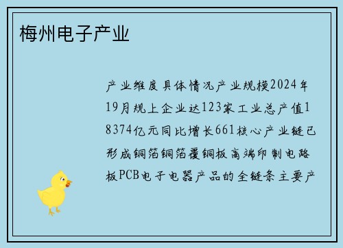 梅州电子产业